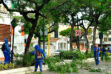 Urdesa Central: Vecinos y Municipio recuperan juntos sus espacios verdes