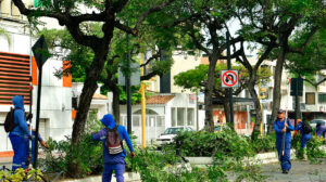 Urdesa Central: Vecinos y Municipio recuperan juntos sus espacios verdes