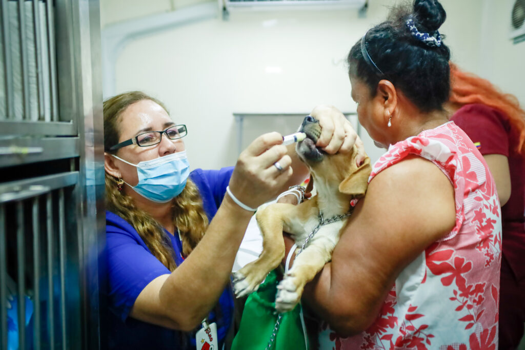 Los animales de compañía también serán desparasitados.