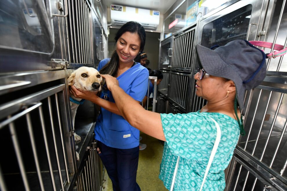 Una veterinaria de Protección Animal atiende al perro de una ciudadana.