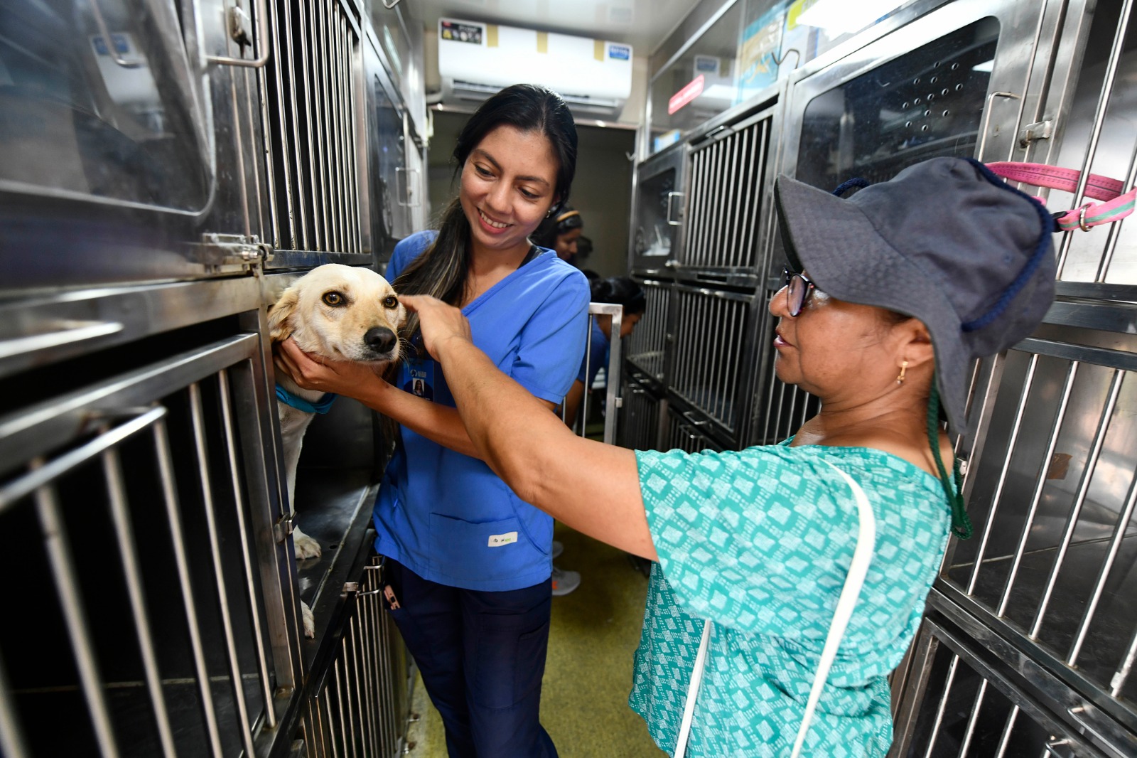 Una veterinaria de Protección Animal atiende al perro de una ciudadana.