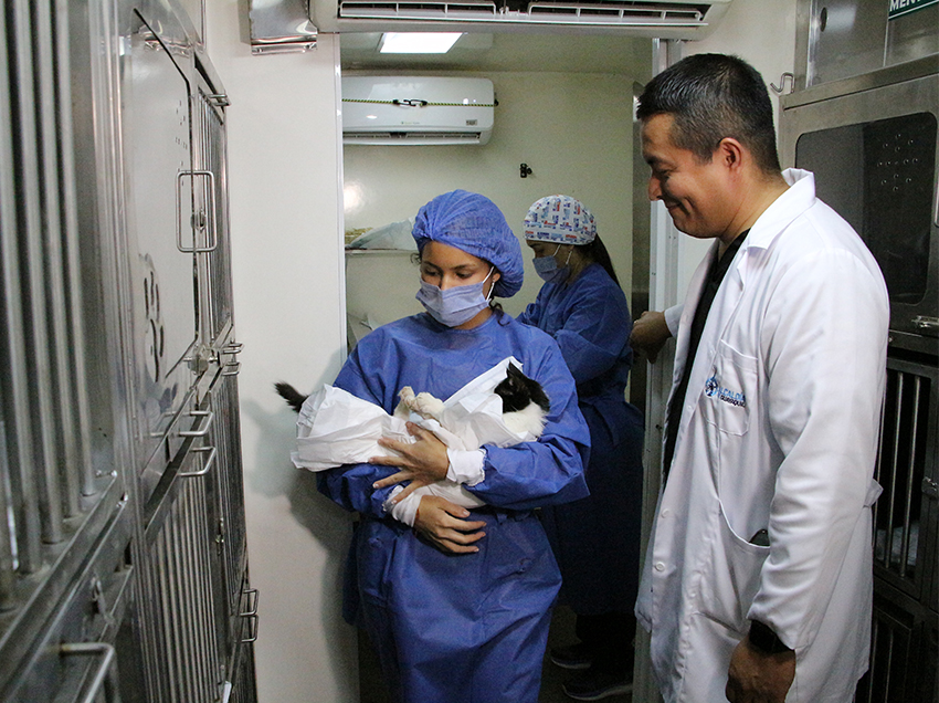 Un médico veterinario del Municipio brinda atención gratuita a una mascota, como parte del modelo integral de bienestar animal en Guayaquil.