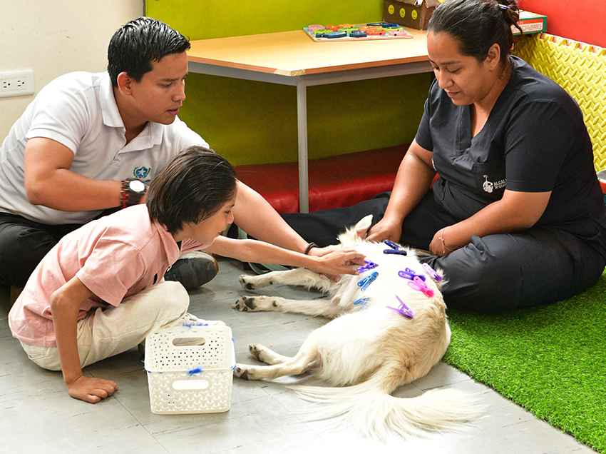 Vecinos participan en una jornada de bienestar animal, donde se promueve la tenencia responsable, la adopción y el cuidado de los animales de compañía