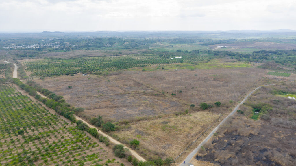 Terrenos en Daular, al oeste de Guayaquil, donde está prevista la construcción del nuevo aeropuerto.